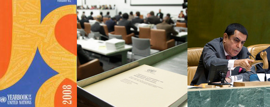 Imagen de la introducción de la documentación de la ONU: sinopsis