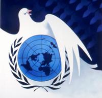 Operational Cooperation with the United Nations System