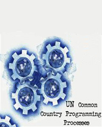 UN common country programming