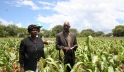 Simnai and Phillip Tshuma, smallholder farmers from Hwange, Zimbabwe, show off their sorghum crop planted using fertilizers. Photo: Busani Bafana