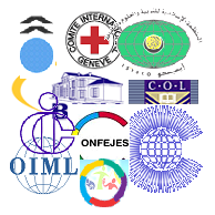 Organizaciones intergubernamentales (OIG)