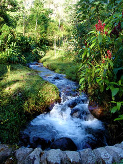 Reserva de Biosfera Agua y Paz, Costa Rica