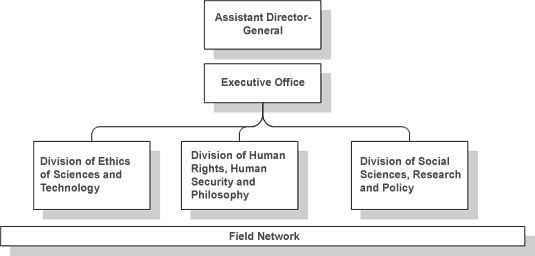 UNESCO's Social and Human Sciences Sector Organizational Chart