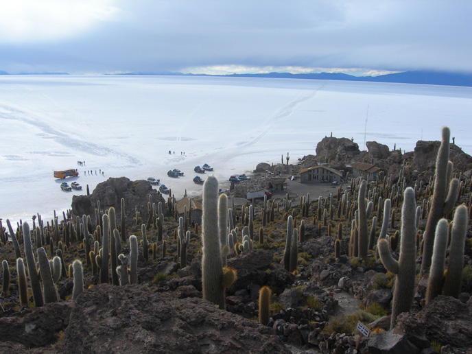 Vue sur le Salar de Uyuni du sommet d'Isla Incahuasi. 