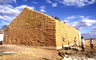 Trabajadores apilan sacos de maíz en Zambia. Niveles robustos de inventarios mantienen estables los precios de las materias primas agrícolas. Foto: FAO/Alberto Conti