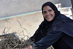 Hajja Zeinab, member of the cooperative, happily working and preparing food for sheep and cattle, at the cooperative at Al Tod village, Luxor governorate, Egypt. Photo: UN Women/Fatma Yassin
