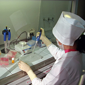 Un especialista trabaja sobre la gripe aviar en un laboratorio de la salud humana renovado. Foto: Banco Mundial.