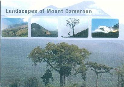 Landscape of Mount Cameroon.JPG