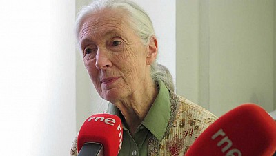  Vida verde - Jane Goodall y los santuarios de Chimpancs - 21/01/17 - escuchar ahora
