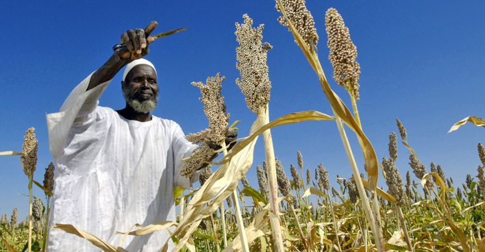Sorgum farmer, Sudan. © UN Photo / Fred noy
