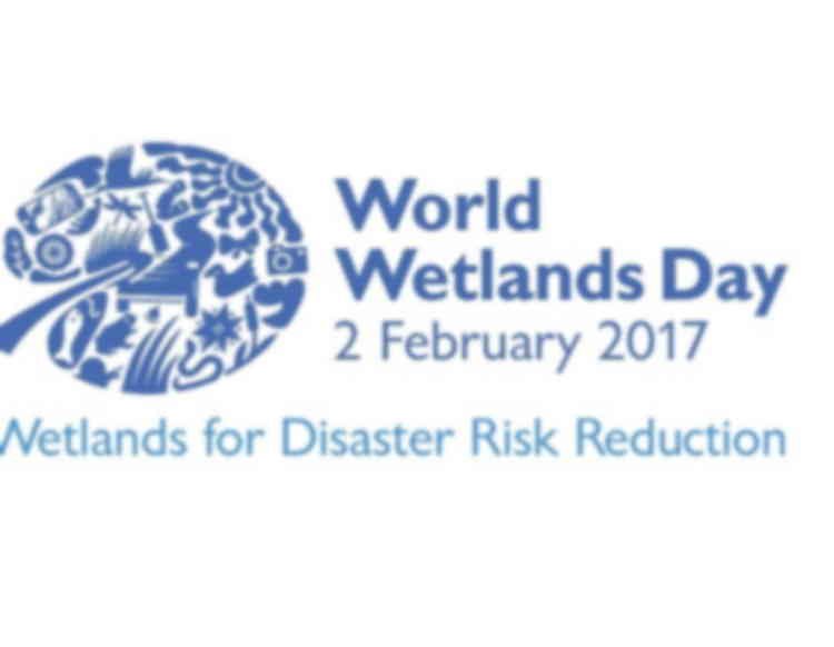 [Uniquement en anglais] World Wetlands Day 2017: Wetlands for Disaster Risk Reduction