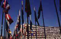 UNESCO Headquarters Flags