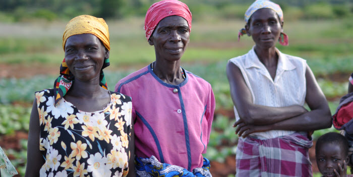 Sida stödjer Pungweprogrammet i Moçambique som syftar till att förbättra mark-och vattenanvändning och skapa expansionsmöjligheter inom jordbruk och industrin. Tack vare vattnet kan Margarita Losse Dzogo försörja sin familj.
