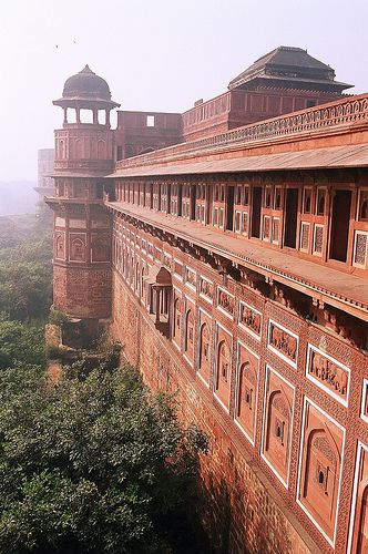 The Red Fort, Agra - INDE    Comme si le temps s'arrêtait dans cet immense jardin où les animaux côtoient les hommes en toute sérénité...