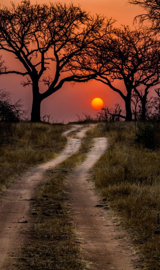 Kruger National Park in South Africa • photo: Timothy Griesel on 500px. Don't forget when traveling that electronic pickpockets are everywhere. Always stay protected with an Rfid Blocking travel wallet. igogeer.com for more information. #igogeer
