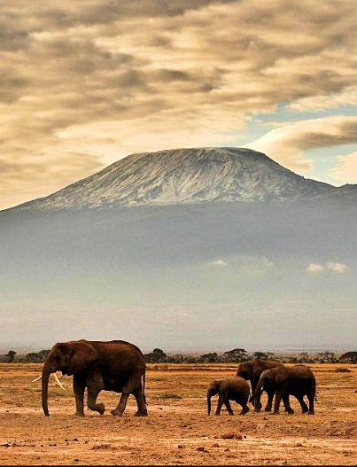 Kilimanjaro, Tanzania, the highest mountain in Africa Pinned by Green Mountain Lodges Safari Tours. Visit our website here: