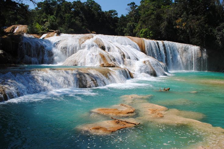Les cascades Agua Azul, Mexique : Les chutes d'eau les plus spectaculaires du monde - Linternaute.com Voyager