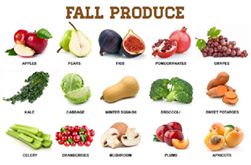 🍁It is easy to stay healthy and save money when you buy fruits and vegetables that are in peak season. Keep it safe! You should always rinse your fruits and vegetables before you eat them. Here is what's in season this Fall 🍁

Get all your 🍁Fall recipes and health coaching with #CoachC 🙌🏻 Fall Clean eating and health coaching program in comment below 🏡

🏋🏽‍♀️🙏🏼🍩#DonutGiveUp
