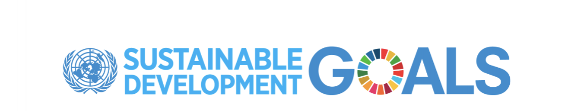 SDG 4 image