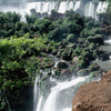 Waterfall of the Iguazu National Park, sub-tropical forest