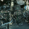 Bike parking place in the street, cycling
