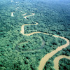 Rio Platano Biosphere reserve, forest, river
