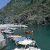 The harbour of Vernazza (Cinque Terre - World Heritage List). Vineyards planted