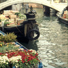 Canal, transportation of fruit, vegetables and flowers in gondolas, boats