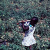 Tomatoes growing, child picking up tomatoes in a field, field