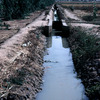 Farming experimental area for maize, irrigation channel