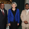 Ms Irina Bokova, Director-General of UNESCO, received the visit of HE Mr Daniel