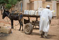 Man in Sudan with his donkey