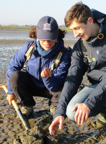 Wadden Sea holds first expert meeting to discuss marine litter at World Heritage  ...