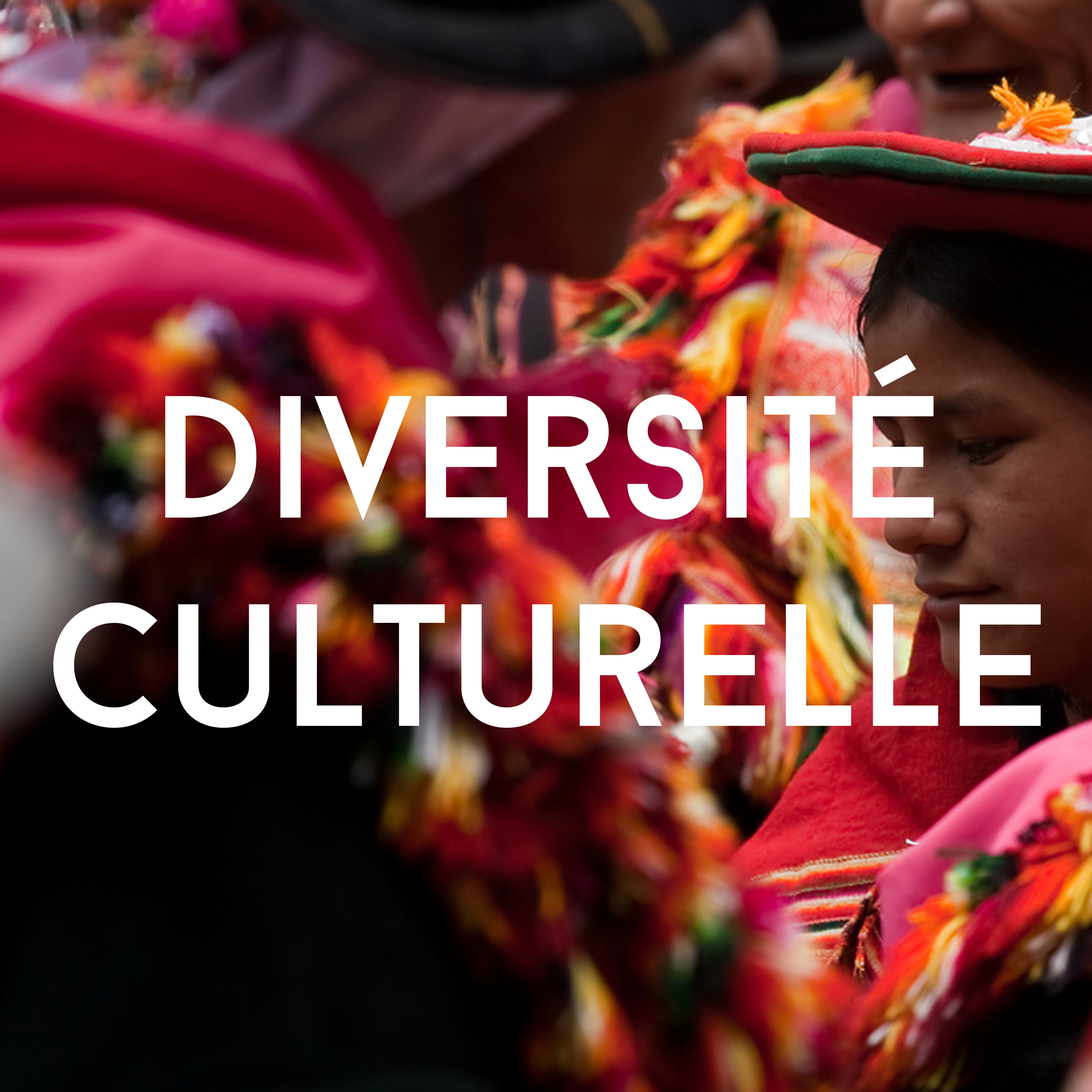 cultural_diversity