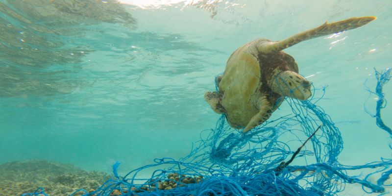 Strategic solutions to deal with global deluge of plastic pollution