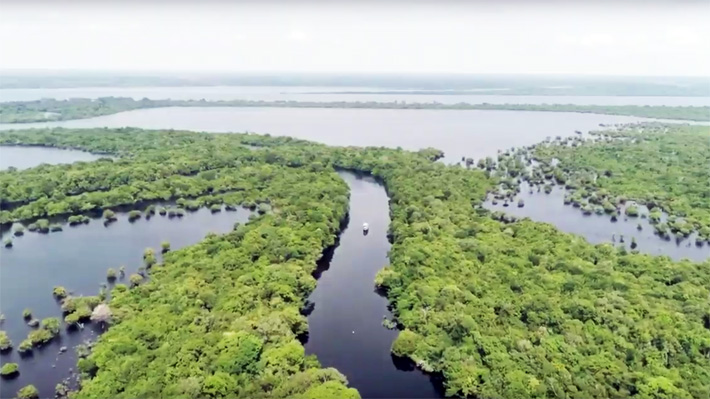 Amazonia's Flying Rivers