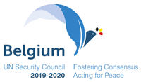 Candidacy of Belgium for the UN Security Council