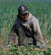 Migrant worker © Flickr / kurtrwall