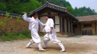 El Taekkyeon, arte marcial tradicional coreano