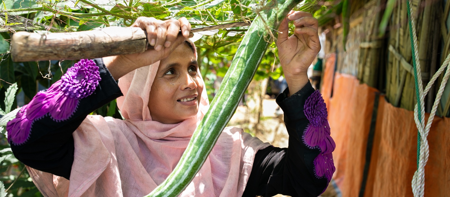 Sahira, une réfugiée rohingya, récolte une courge qu'elle a fait pousser à côté de son abri à Kutupalong, au Bangladesh. 