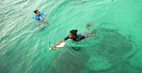 Women lead ocean conservation in Seychelles. Photo:  UN Women/Ryan Brown