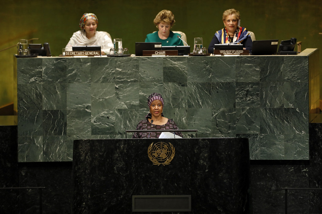 CSW63 - The 63rd Session of the Commission on the Status of Women