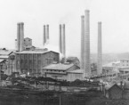 The cement factory site (1959)