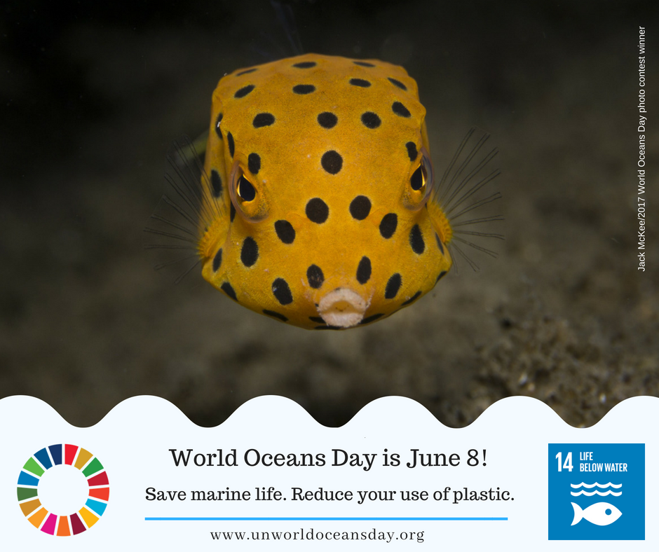 Graphic card with a photo of a fish announcing World Oceans Day 2019 and SGD 14
