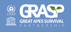 UN-GRASP Logo