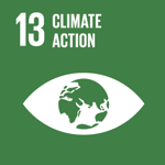 SDG13 icon