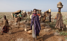 Symbolic image of a young african girl in front of packed mules in the desert.