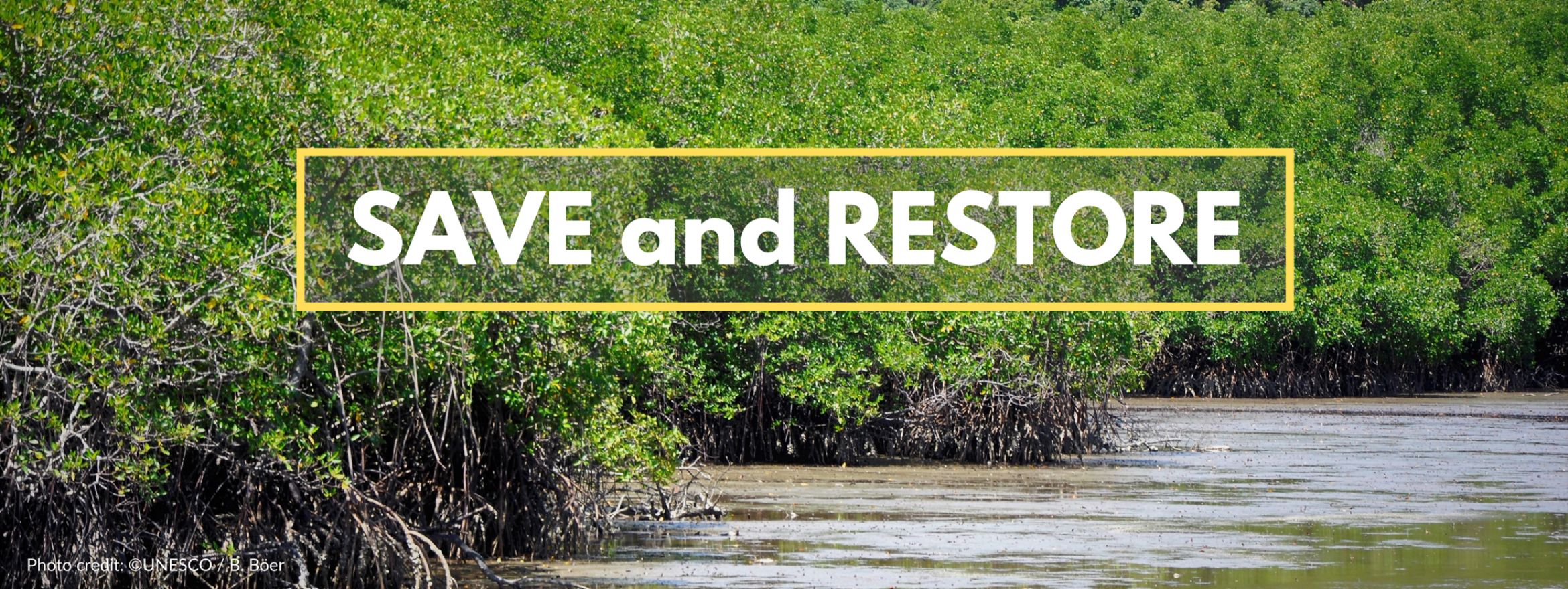 International Day for the Conservation of Mangrove Ecosystems