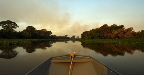 Pantanal Biosphere Reserve