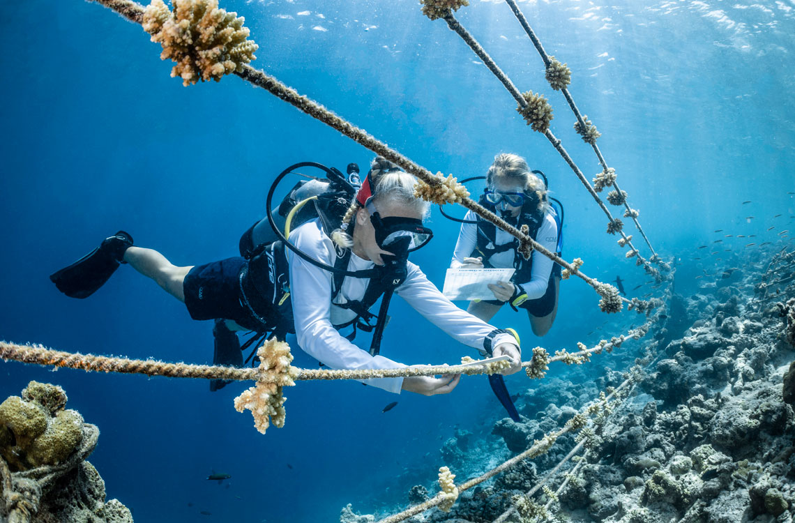 Measure - The IOC helps Member States to coordinate the shared global systems needed to measure changes to the ocean and its physical, chemical and biological properties